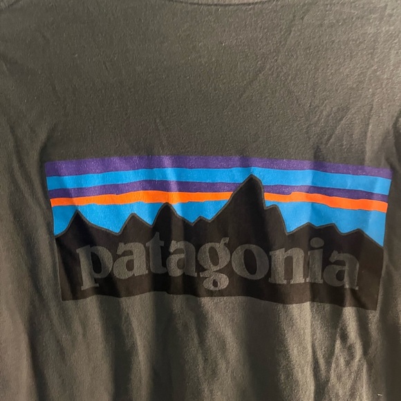 Patagonia Gray Regular Fit-Tee Shirt Size Mens‎ Medium - Picture 4 of 5
